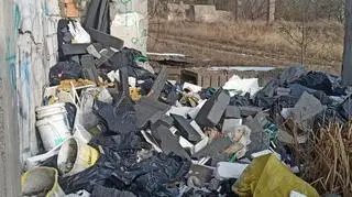 Zdjęcie z posesji w Suwałkach