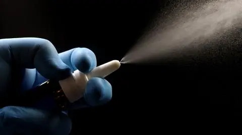 shutterstock_2253673593_1