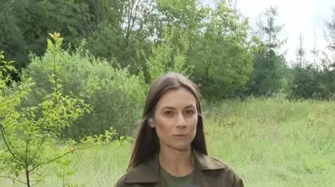 ingest-09_20240822111152(11484)_aac