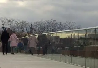 "Jaką mamy tolerancję na śmierć ptaków?". Radni apelują do prezydenta w sprawie "szklanych pułapek"