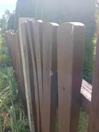 Mężczyzna zginął przed swoją posesją