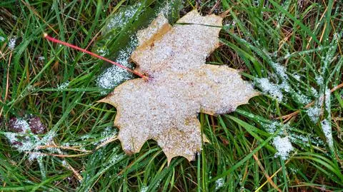 Jesień, deszcz ze śniegiem, pierwszy śnieg
