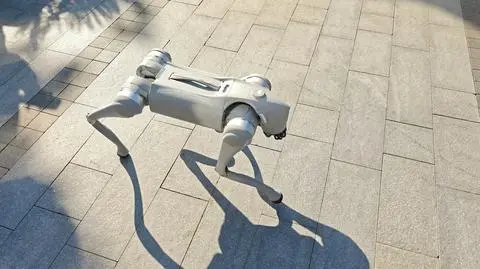 Unitree Go2, cyberpies 