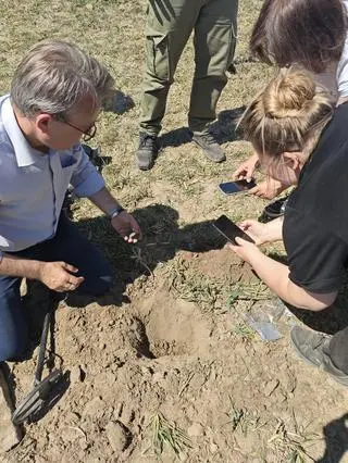 Na polu w Bukowcu Wielkim odkryto skarb srebrnych monet z XVII wieku