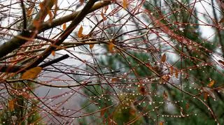 Sporo chmur na niebie, do 12 stopni. Pogoda na dziś