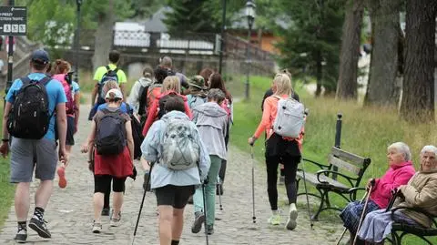 Biją rekordy popularności. "Kumulacja następuje w połowie sierpnia"