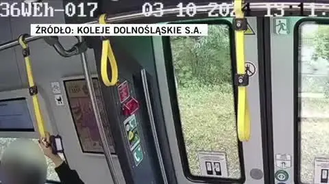 Koleje Dolnośląskie
