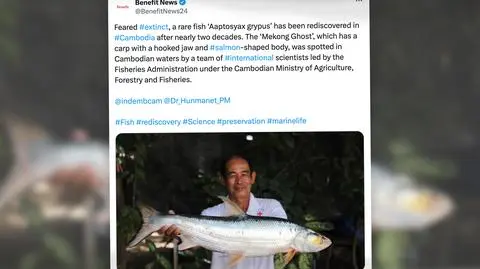 Karp łososiowy pojawił się w Mekongu
