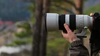 Fotografują zwierzęta, wykorzystując nęciska. Nie wszystkim się to podoba