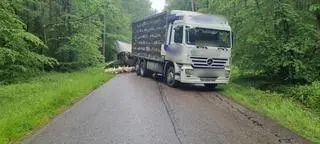 Po wyminięciu się pojazdów indyki wypadły na drogę