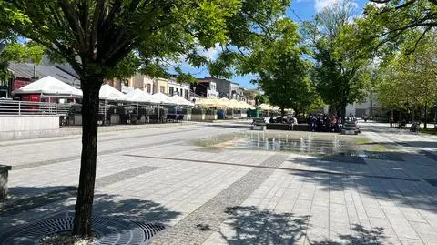 Jak zagłosują bełchatowianie?