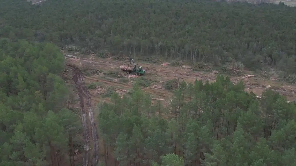 Klatka kluczowa-84003