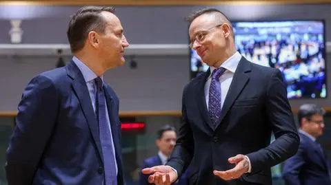 Radosław Sikorski, Péter Szijjártó
