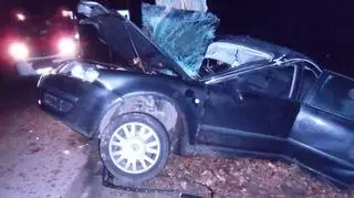 Nie wiadomo, dlaczego nastolatek wjechał w drzewo