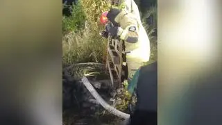 Strażacy ruszyli na pomoc