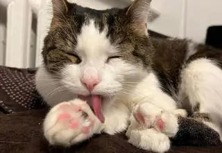 Grzywna za skatowanie Pandka, prokuratura się nie zgadza