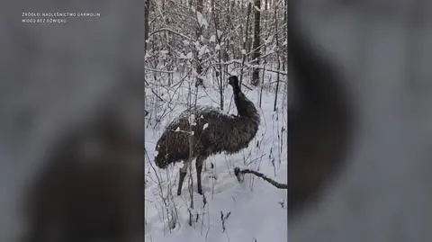 Klatka kluczowa-156790