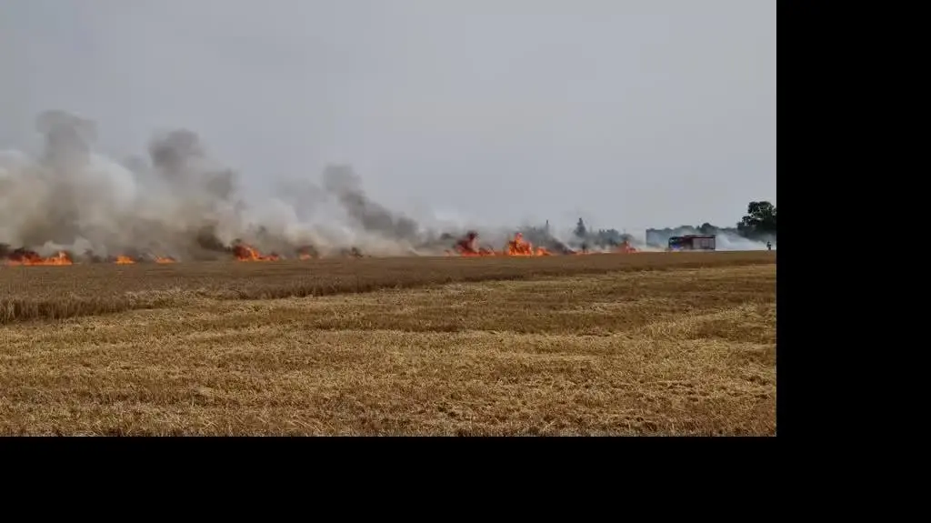 Pożar pola w Gortatowie