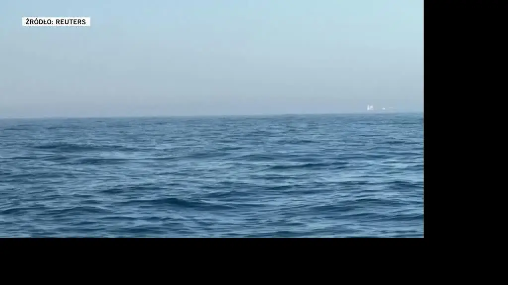 Brazil's humpback whale population