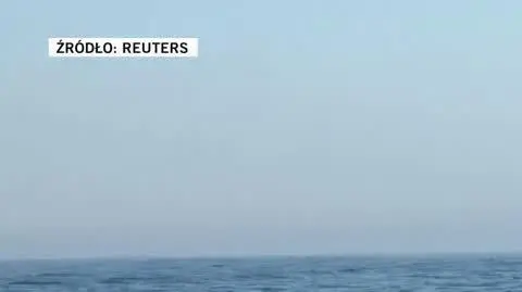 Brazil's humpback whale population