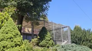 W takich klatkach trzymane są zwierzęta w Czchowie