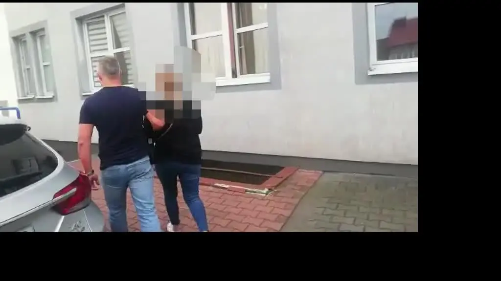 Policyjne zatrzymanie 