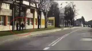 Mężczyźni nawiercali drzewa i wstrzykiwali do nich truciznę