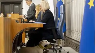 V Kongres Praw Zwierząt w Senacie