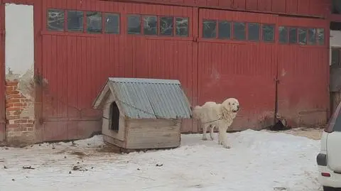 Klatka kluczowa-173404