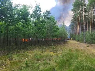 W ciągu trzech miesięcy nadleśnictwo odnotowało 14 pożarów