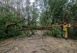 Podtopione budynki i ulice, połamane drzewa. Bilans akcji strażaków
