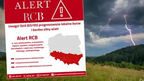 rcb sklejka