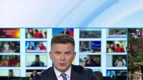 TVN24 Clean_20240703140152(10212)_aac