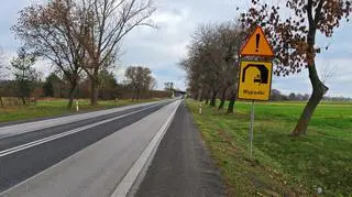 Wiadukt kolejowy nad Drogą Krajową 14 w miejscowości Krępa