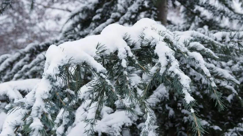 Tutaj dosypie choćby 20 centymetrów śniegu. Ostrzeżenia IMGW