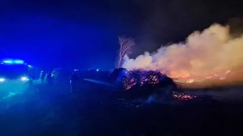 Pożar drewna i nieużytków 