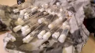 Ponad 100 fiolek z żywymi mrówkami znaleźli funkcjonariusze Krajowej Administracji Skarbowej na lotnisku w Pyrzowicach