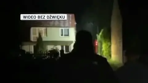 gosia wideo 