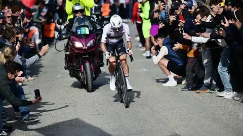 Kolejny nokaut Pogaczara. Mistrz świata ze złotem mistrzostw Europy