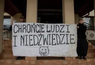 Awantura o niedźwiedzie. Wójt się tłumaczy, aktywiści protestują 