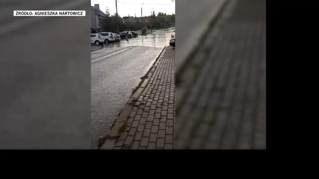 Agnieszka Nartowicz1