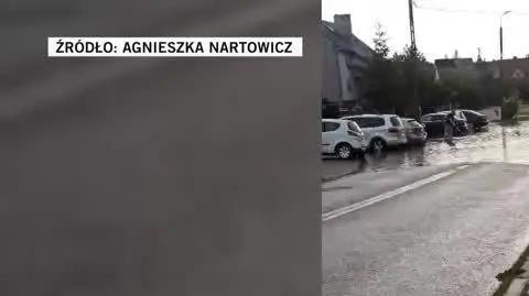 Agnieszka Nartowicz1