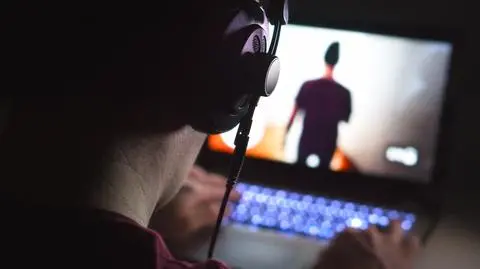 "Jedna z największych patologii" polskiego internetu