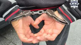 Mężczyzna przyznał się do zarzutów