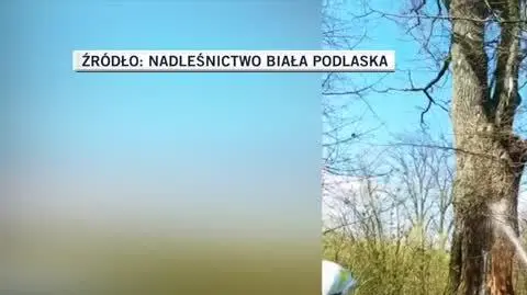 biala podlaska