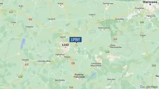 lipiny
