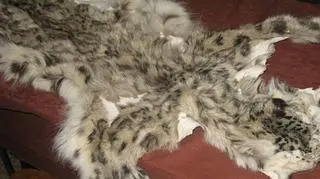 Futra egoztycznych zwierząt