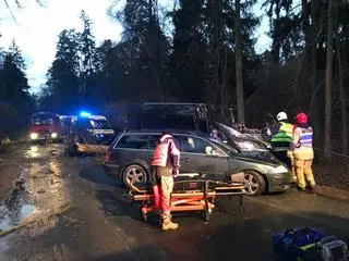 Na wyjeździe z Olsztyna w kierunku Dywit drzewo spadło na samochód