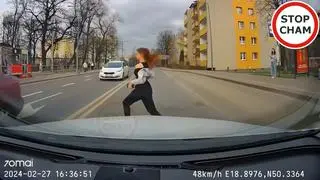 Piesza wbiegła prosto pod koła