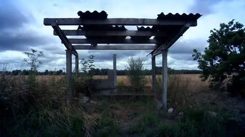 To była wielka obietnica PiS. Co z niej zostało? "Robimy się krajem trzeciego świata"